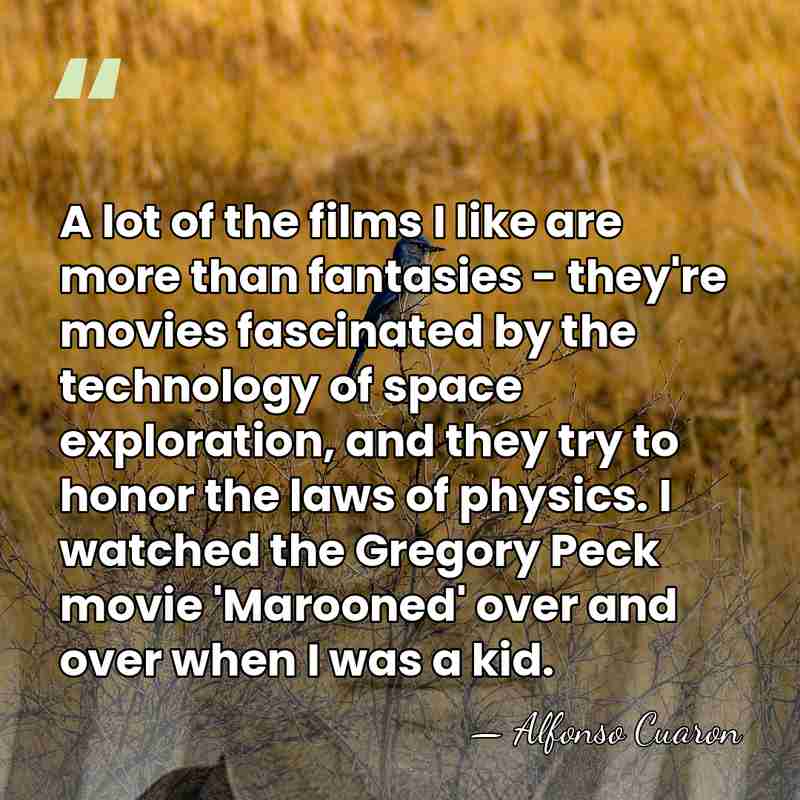 A lot of the films I like are more than fantasies -&hellip; - Alfonso Cuaron