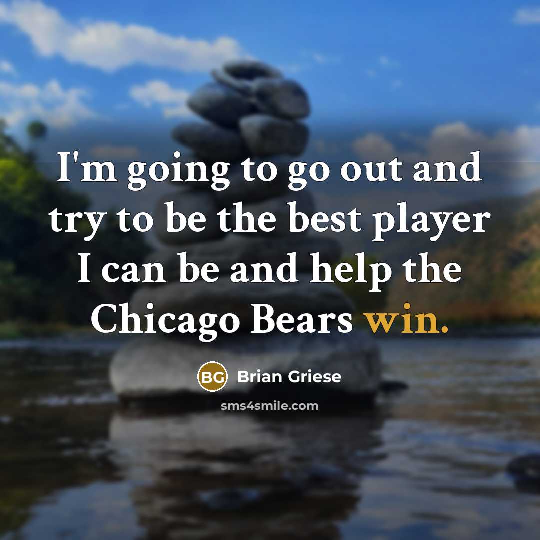 “I'm going to go out and try to be the…” quote by Brian Griese