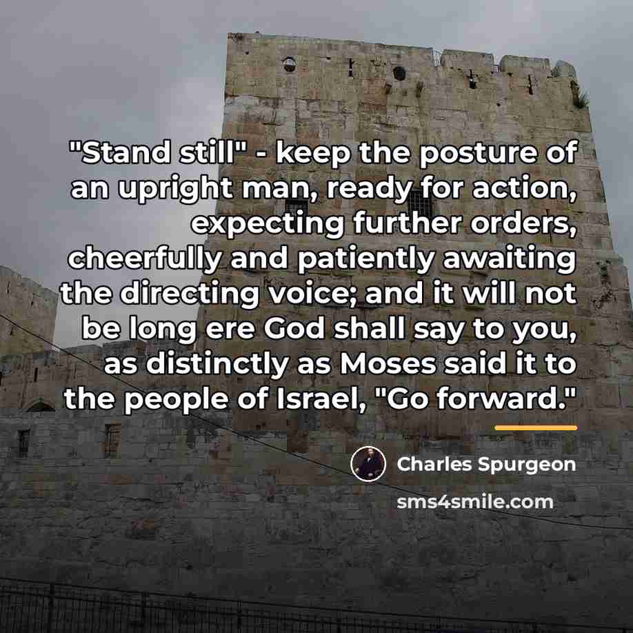 “"Stand still" - keep the posture of an upright man,…” quote by Charles Spurgeon
