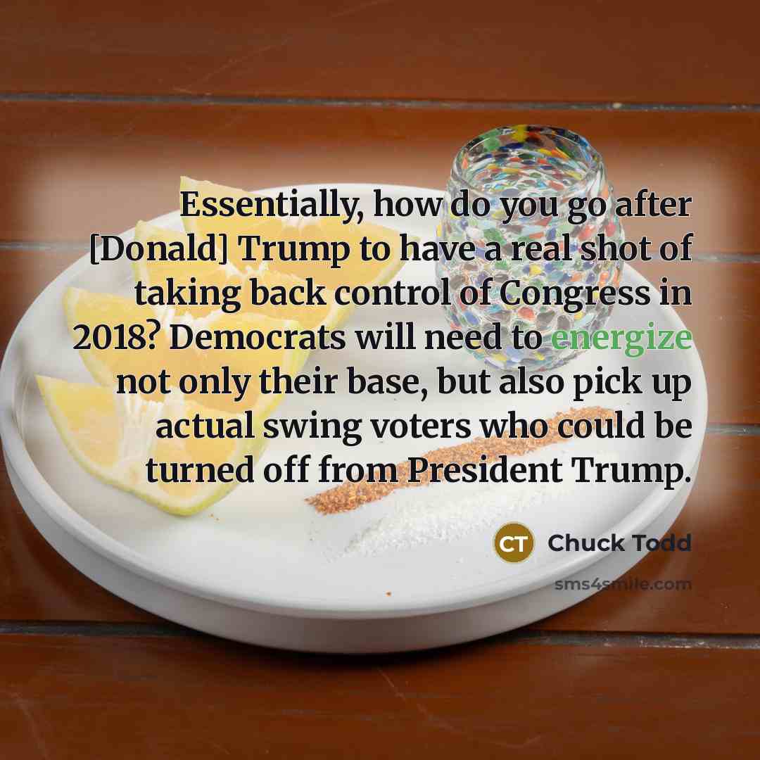 “Essentially, how do you go after [Donald] Trump to have…” quote by Chuck Todd