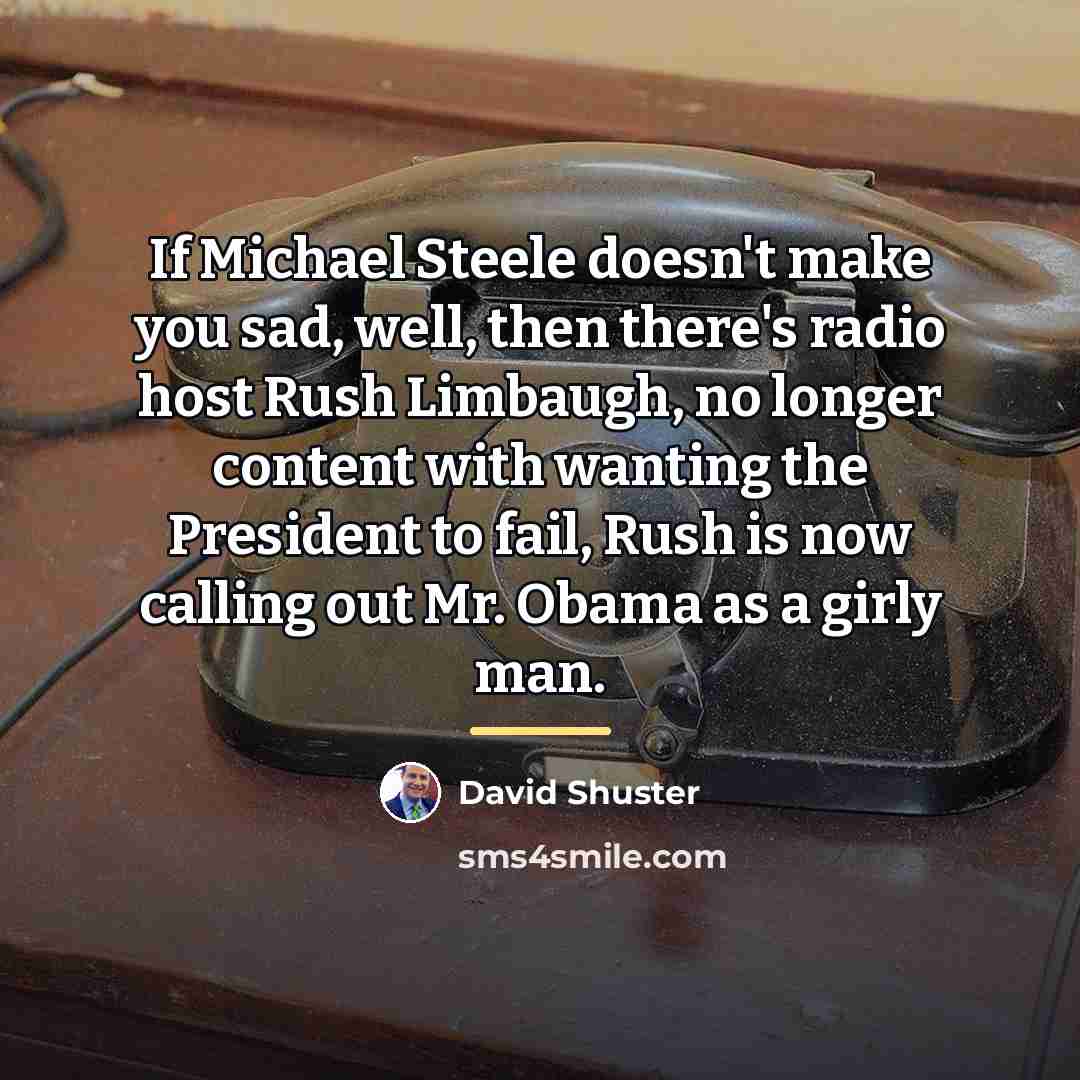 “If Michael Steele doesn't make you sad, well, then there's…” quote by David Shuster