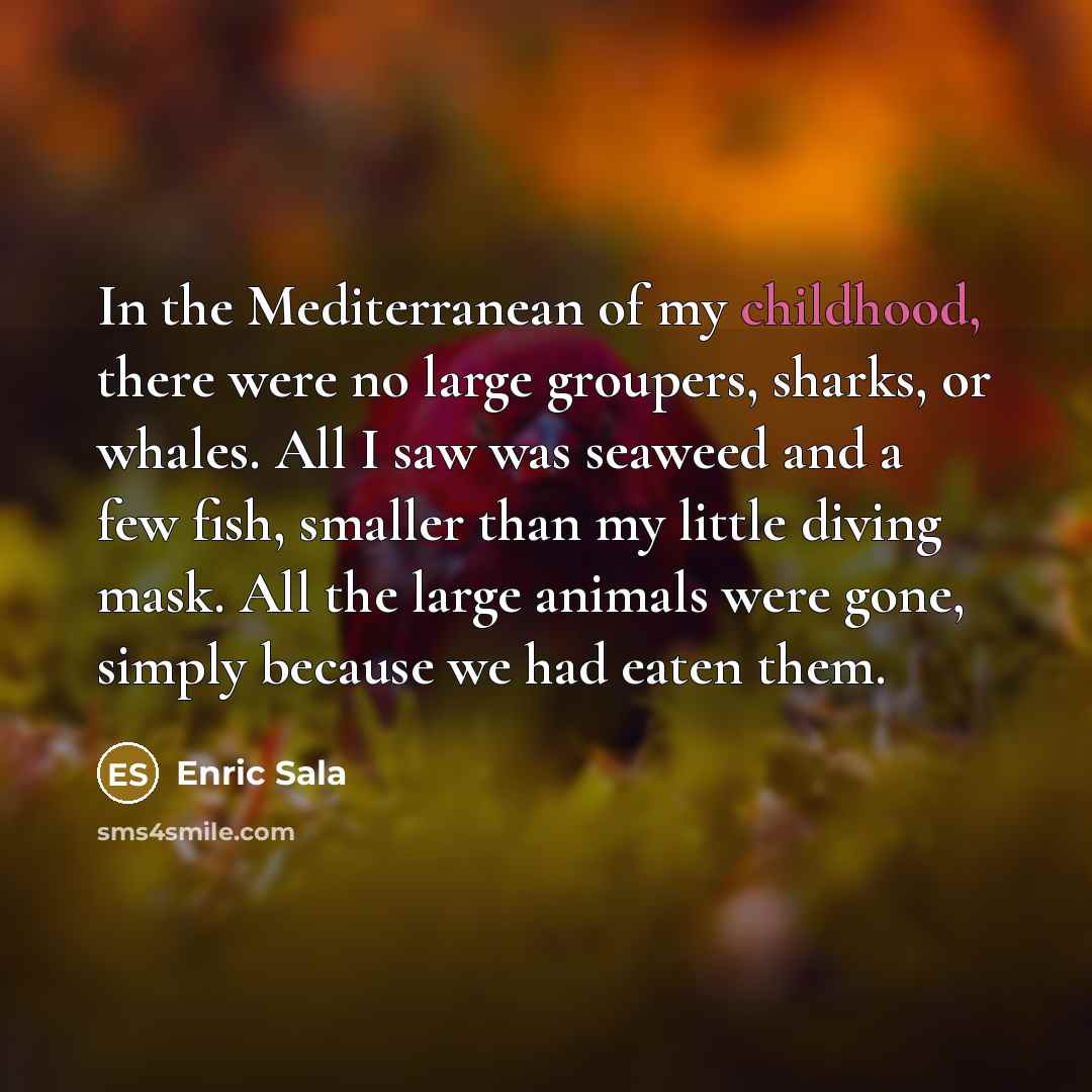 “In the Mediterranean of my childhood, there were no large…” quote by Enric Sala