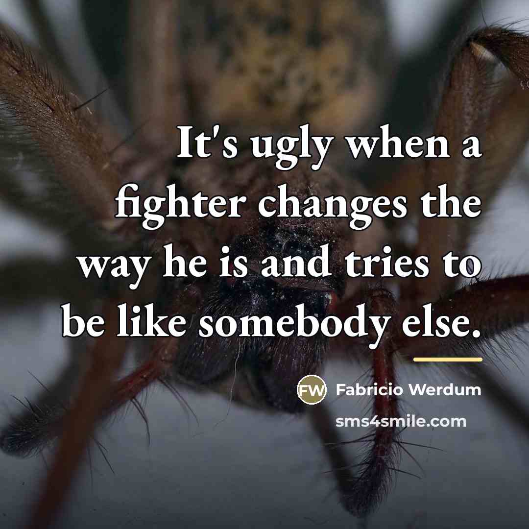 “It's ugly when a fighter changes the way he is…” quote by Fabricio Werdum