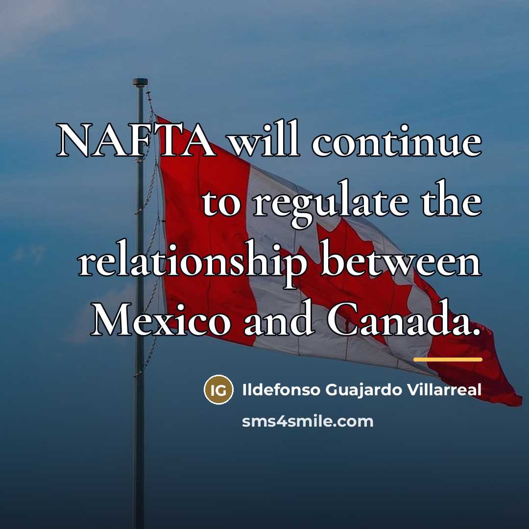 “NAFTA will continue to regulate the relationship between Mexico and…” quote by Ildefonso Guajardo Villarreal