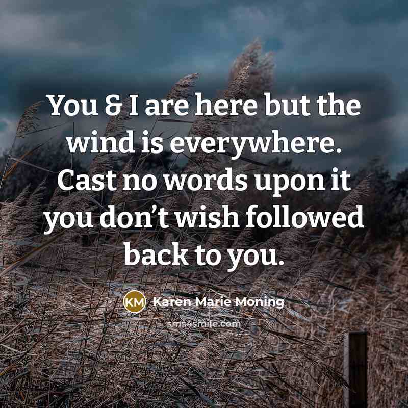 “You & I are here but the wind is everywhere.…” quote by Karen Marie Moning