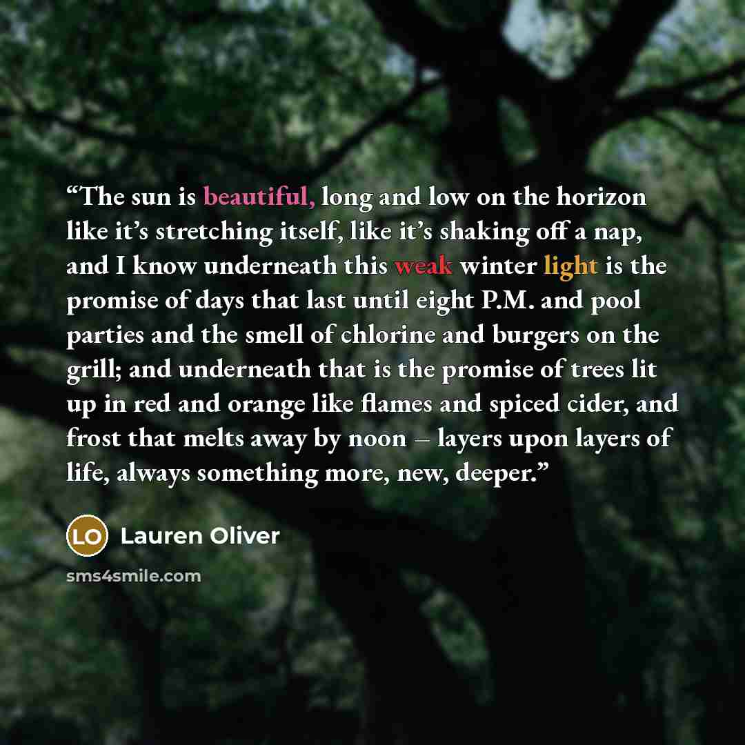 “The sun is beautiful, long and low on the horizon like it’s stretching itself, like it’s shaking off a nap, and I know underneath this weak winter light is the promise of days that last until eight P.M. and pool parties and the smell of chlorine and burgers on the grill; and underneath that is the…” quote by Lauren Oliver