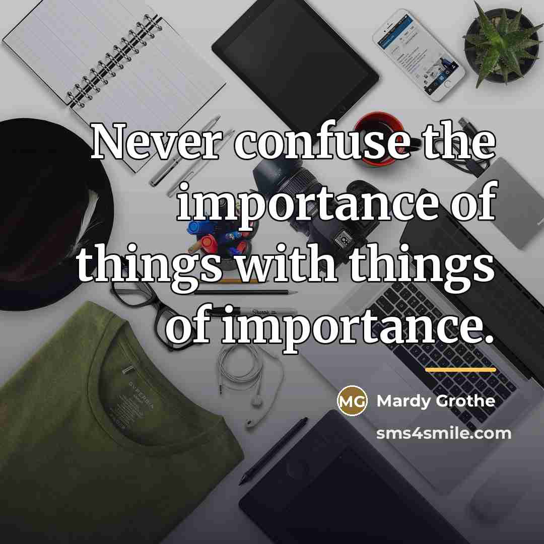 “Never confuse the importance of things with things of importance.…” quote by Mardy Grothe