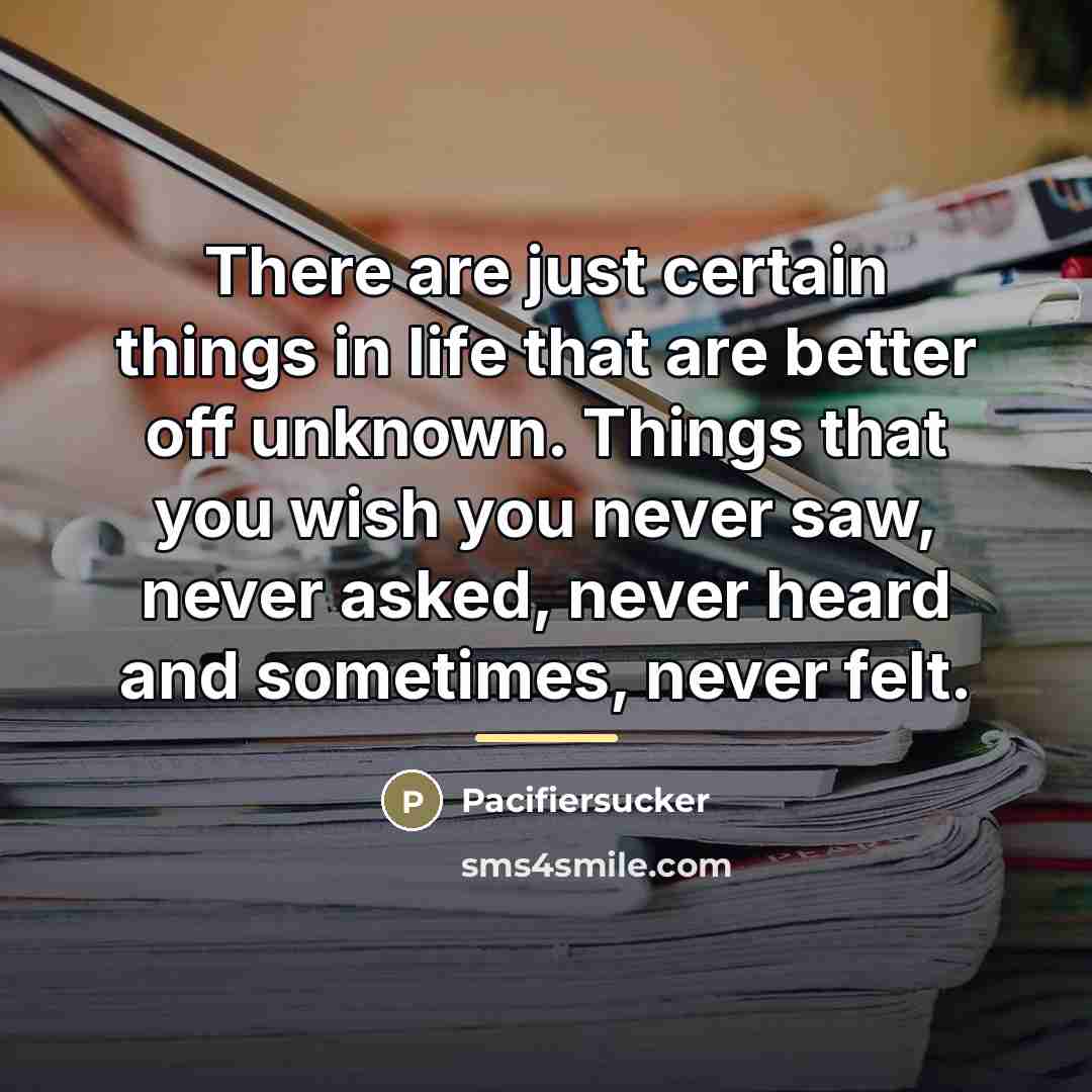 “There are just certain things in life that are better…” quote by Pacifiersucker