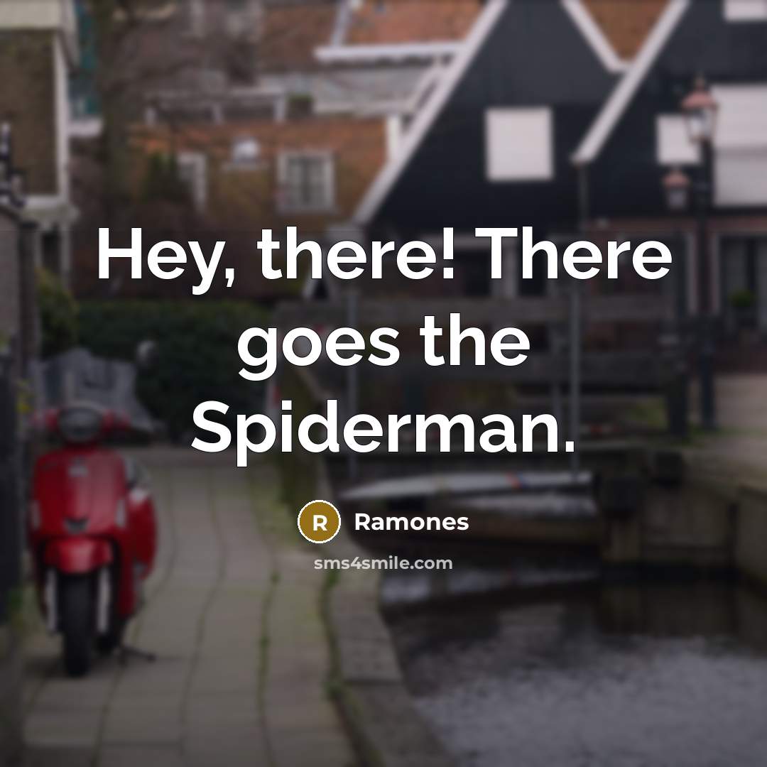 “Hey, there! There goes the Spiderman.…” quote by Ramones