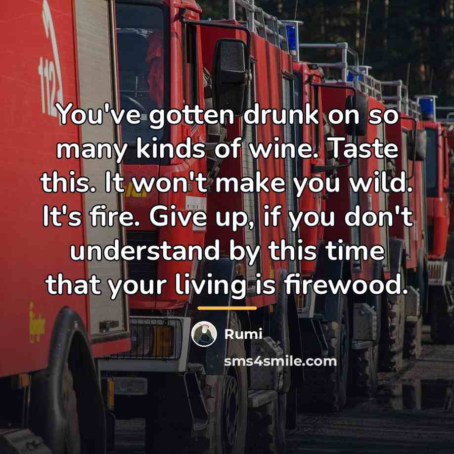 “You've gotten drunk on so many kinds of wine. Taste…” quote by Rumi