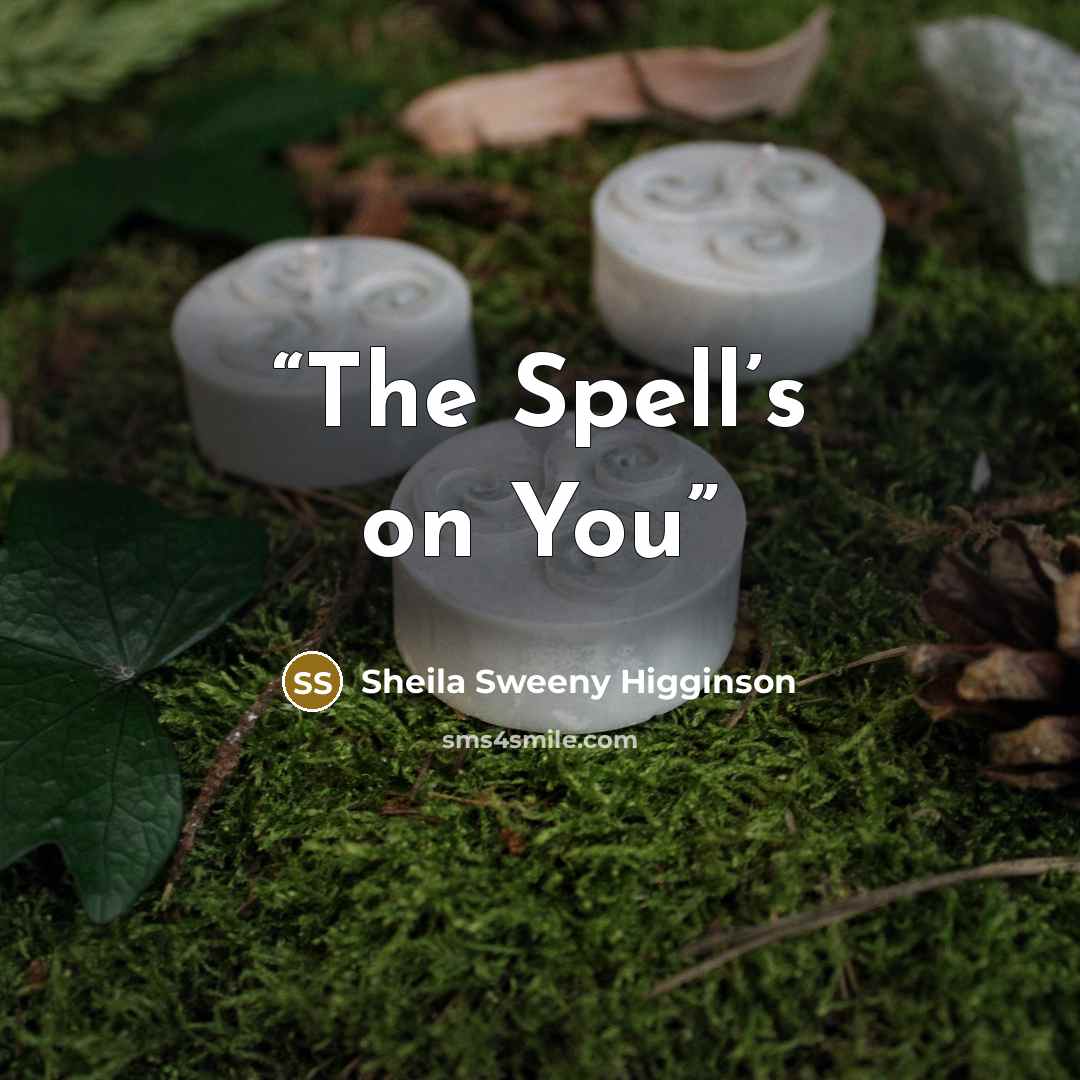 “The Spell’s on You” quote by Sheila Sweeny Higginson