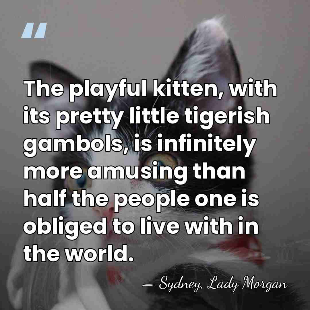 The playful kitten, with its pretty little tigerish gambols, is infinitely more&hellip; - Sydney, Lady Morgan