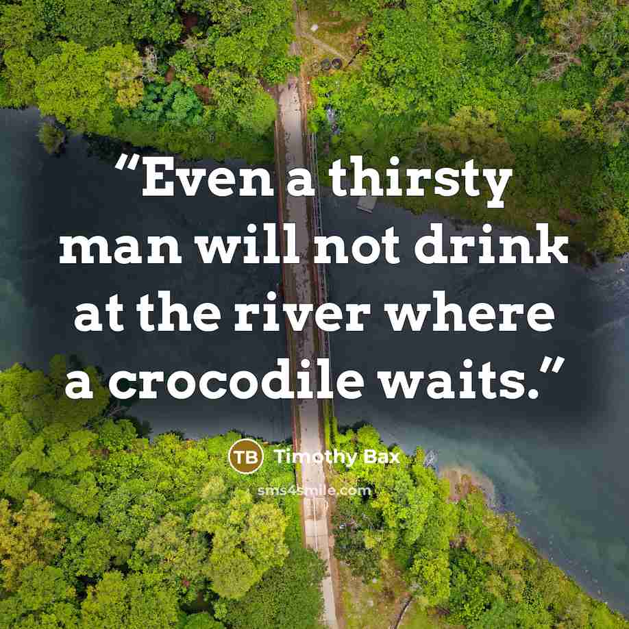 “Even a thirsty man will not drink at the river where a crocodile waits.” quote by Timothy Bax