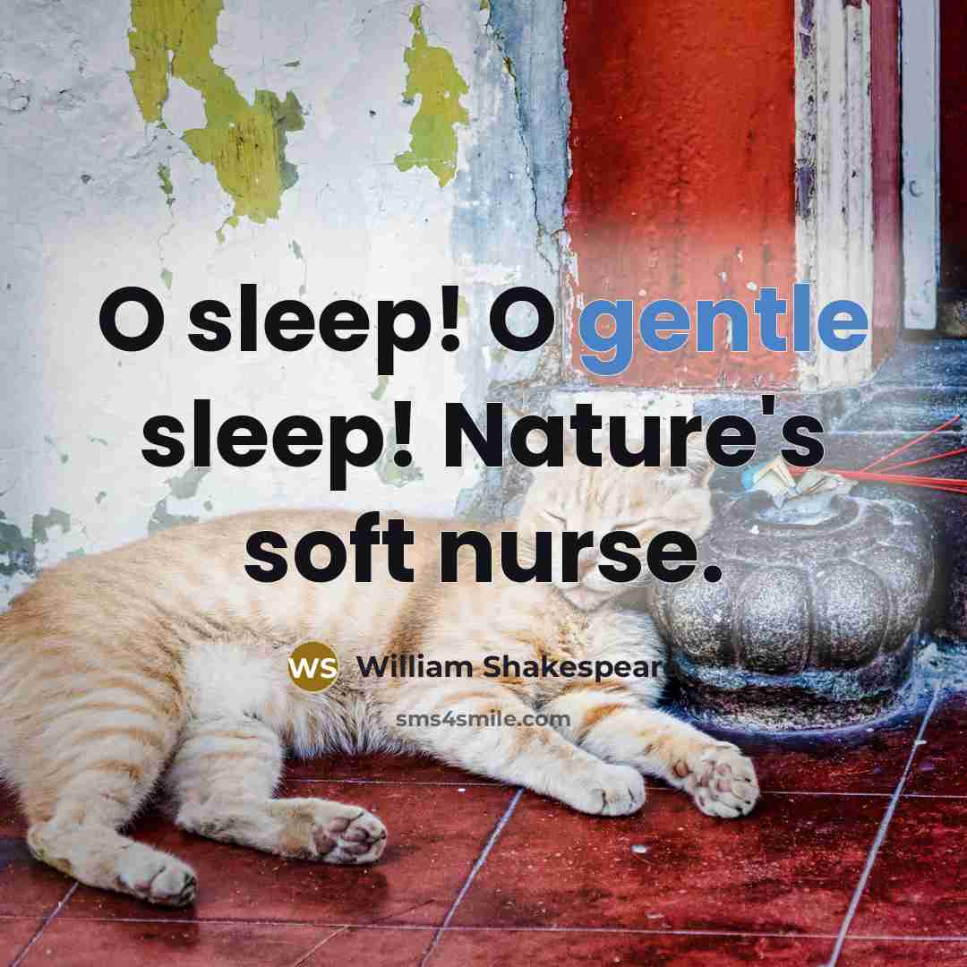 “O sleep! O gentle sleep! Nature's soft nurse.…” quote by William Shakespeare