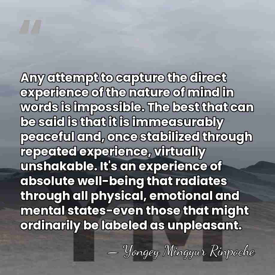 Any attempt to capture the direct experience of the nature of mind&hellip; - Yongey Mingyur Rinpoche