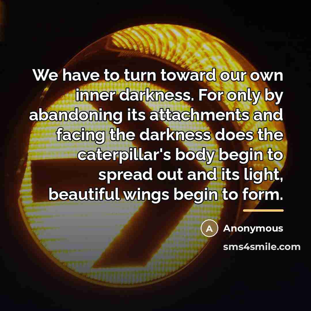 “We have to turn toward our own inner darkness. For…” quote by Anonymous