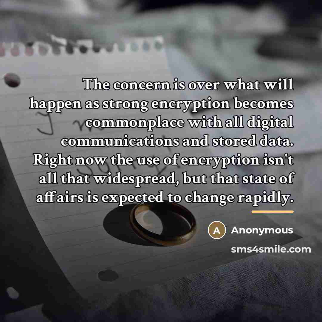 “The concern is over what will happen as strong encryption…” quote by Anonymous