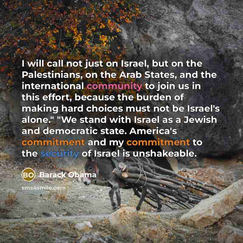 “"I will call not just on Israel, but on the…” quote by Barack Obama