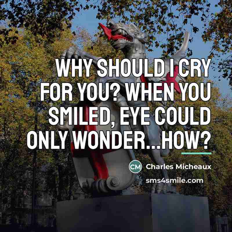 “Why should I cry for you? When you smiled, eye…” quote by Charles Micheaux