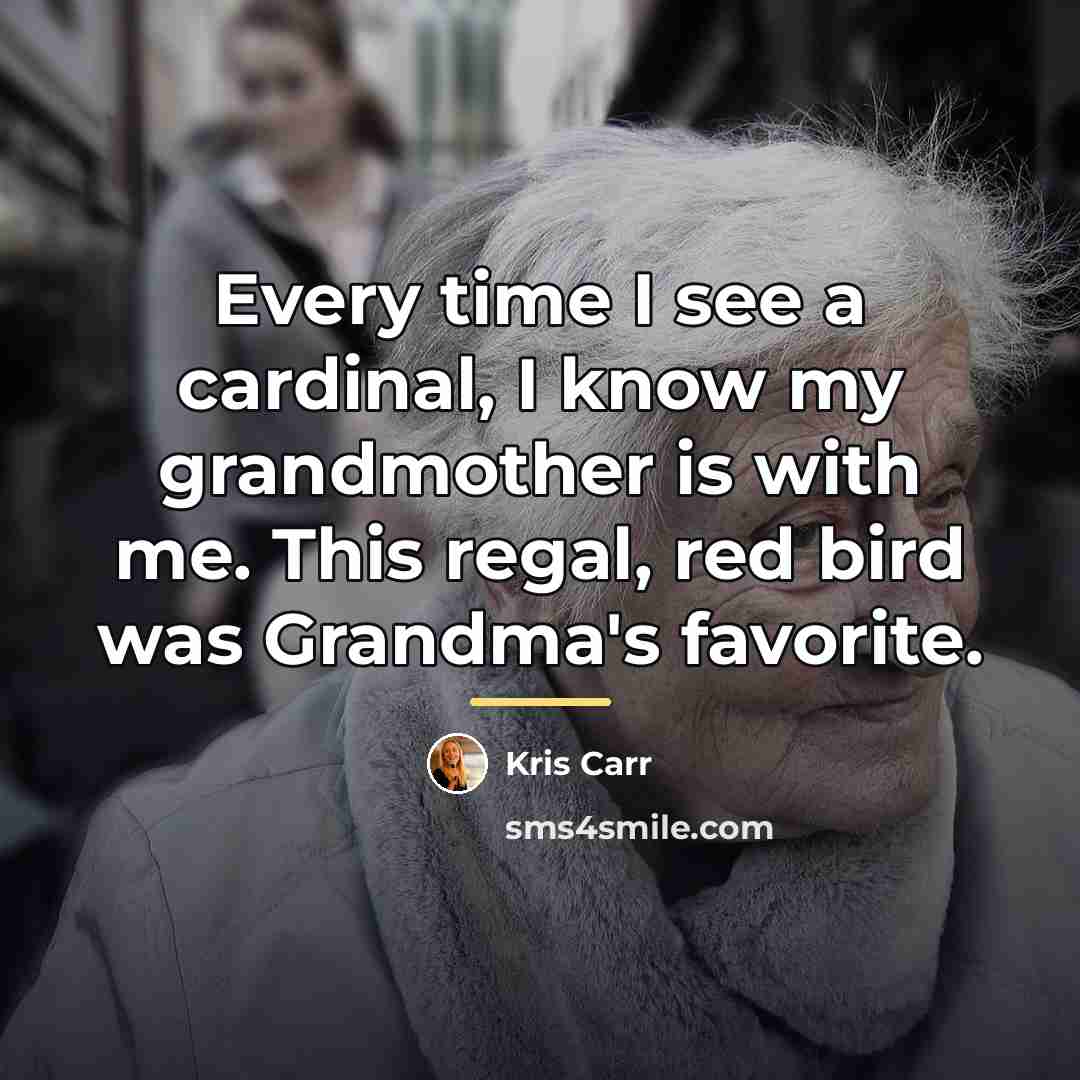 “Every time I see a cardinal, I know my grandmother…” quote by Kris Carr