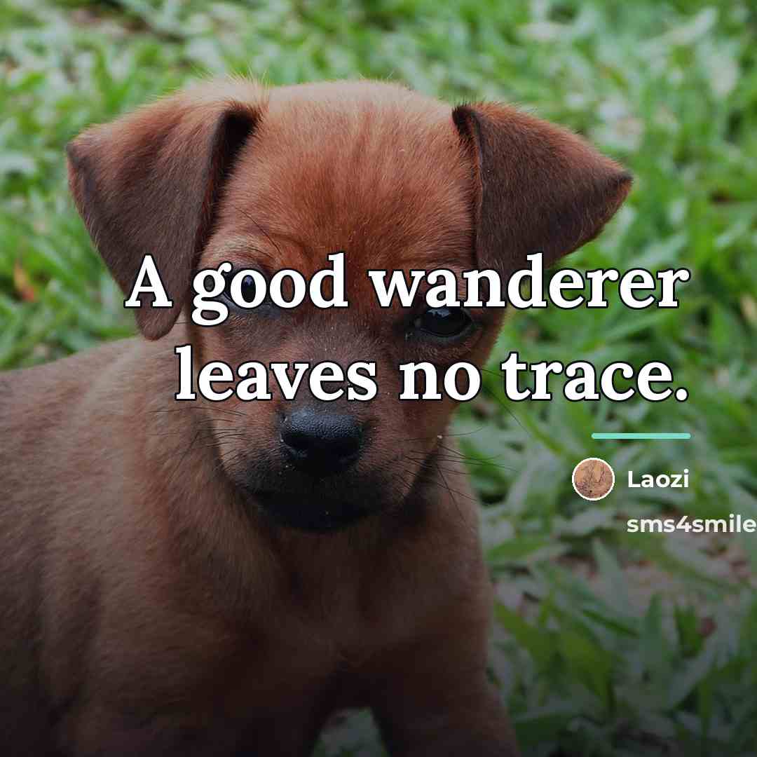 “A good wanderer leaves no trace.…” quote by Laozi