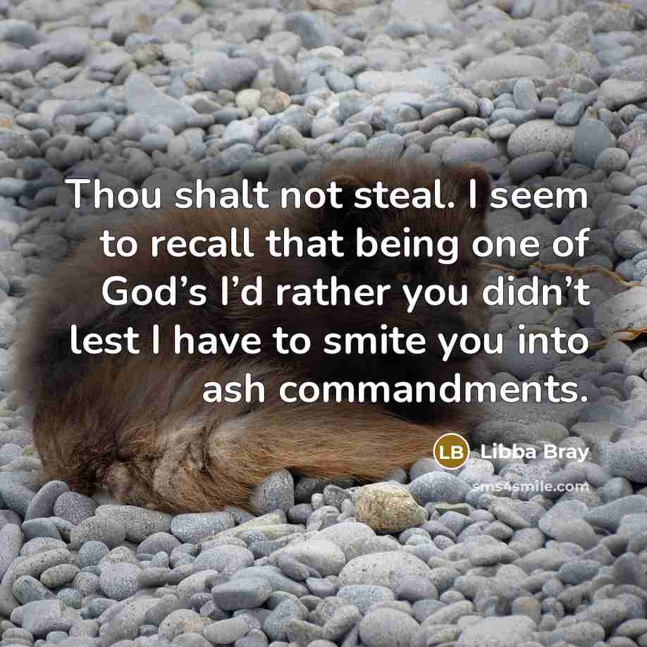 “Thou shalt not steal. I seem to recall that being…” quote by Libba Bray