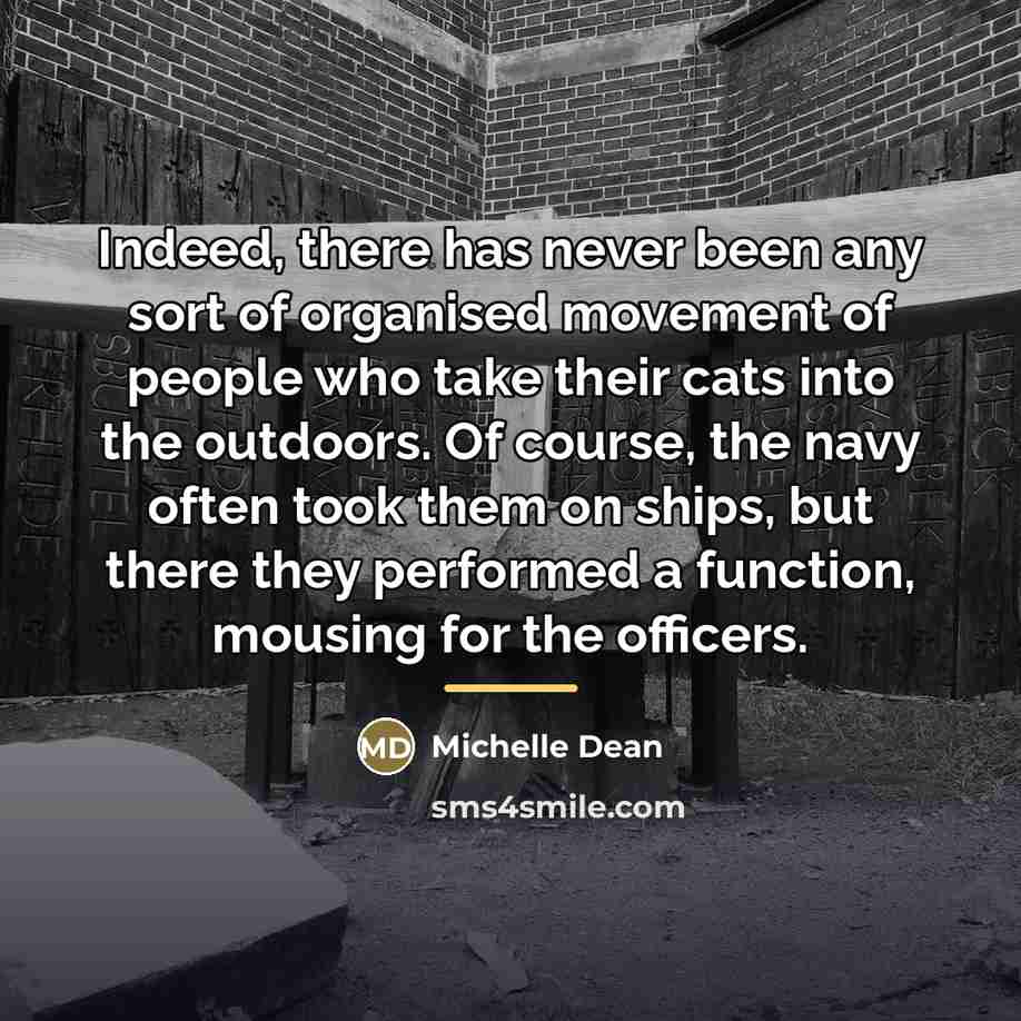 “Indeed, there has never been any sort of organised movement…” quote by Michelle Dean