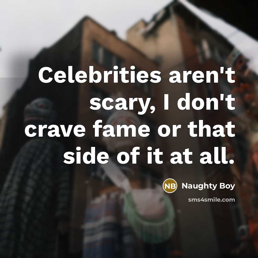 “Celebrities aren't scary, I don't crave fame or that side…” quote by Naughty Boy