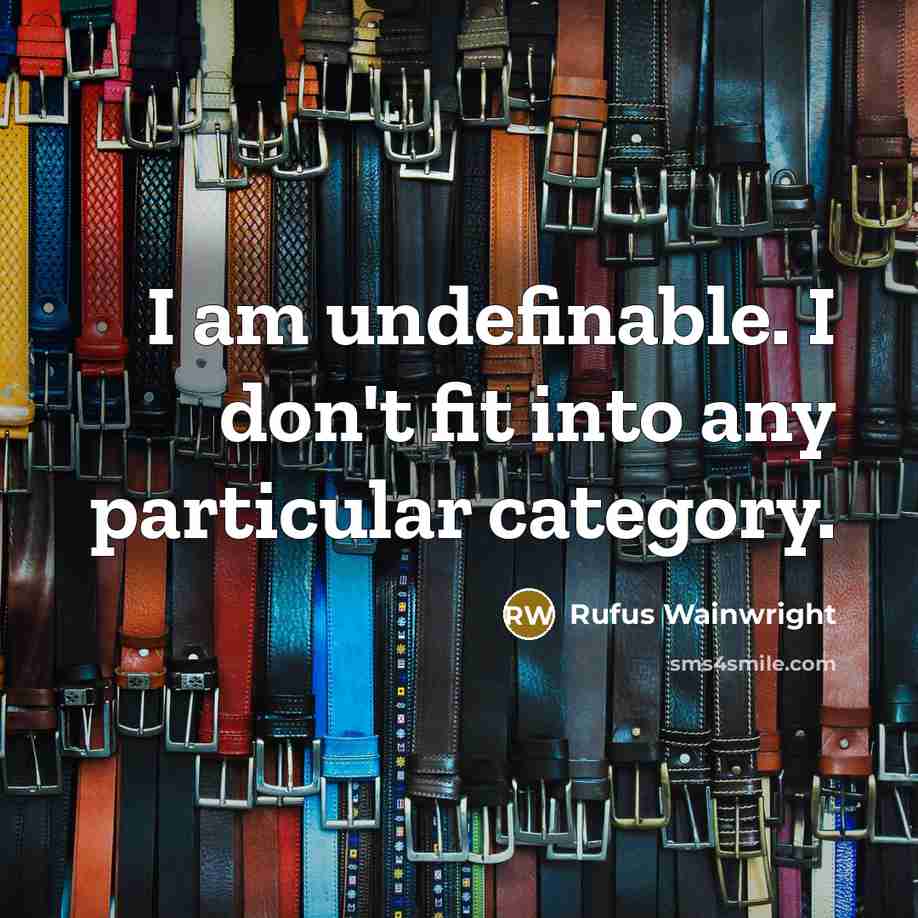 “I am undefinable. I don't fit into any particular category.…” quote by Rufus Wainwright