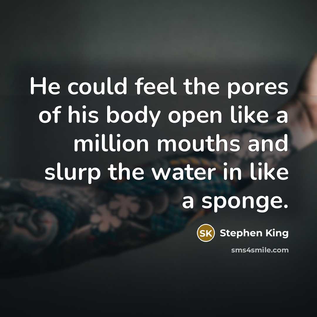 “He could feel the pores of his body open like…” quote by Stephen King