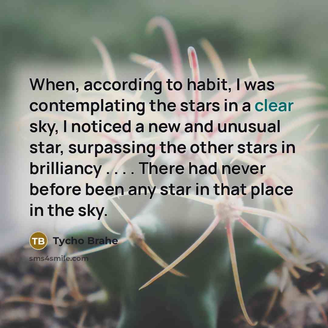 “When, according to habit, I was contemplating the stars in…” quote by Tycho Brahe