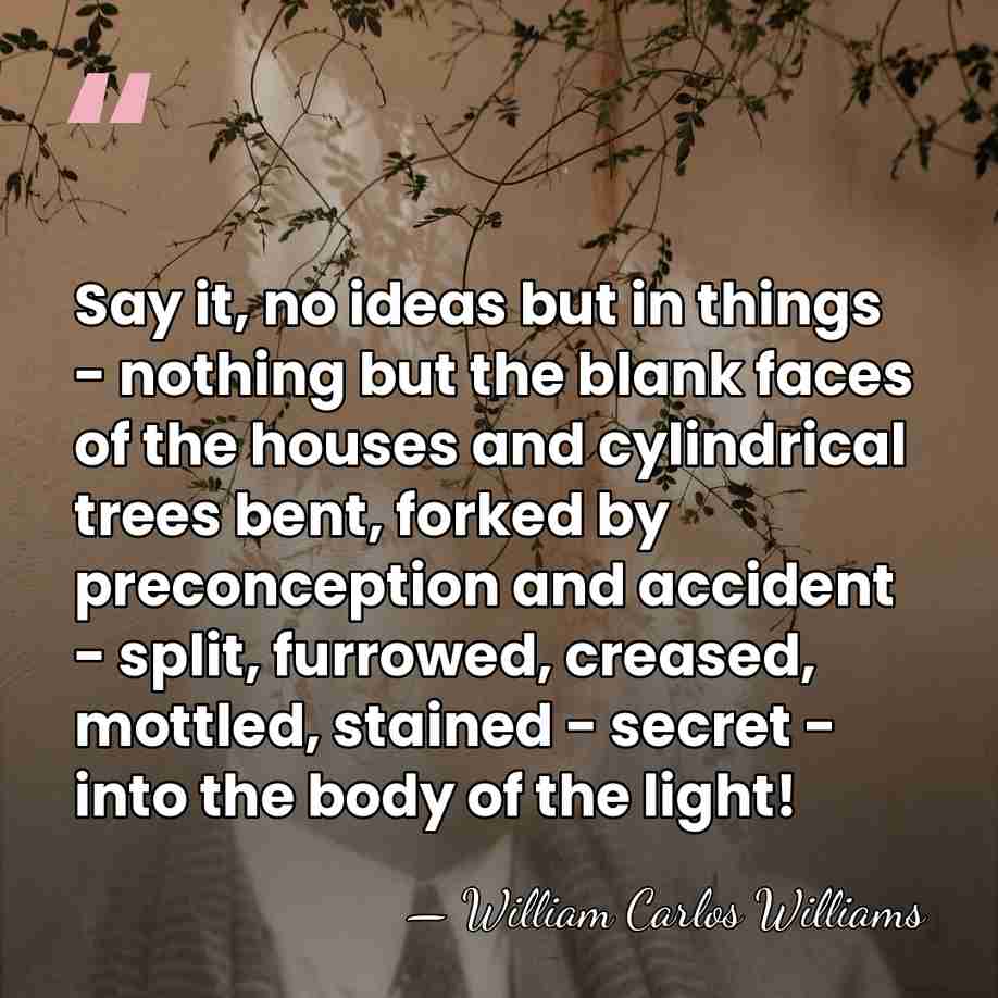 Say it, no ideas but in things - nothing but the blank&hellip; - William Carlos Williams