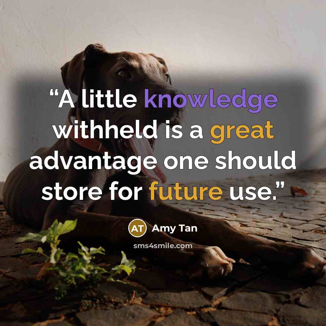“A little knowledge withheld is a great advantage one should store for future use.” quote by Amy Tan