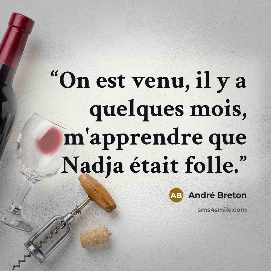 “On est venu, il y a quelques mois, m'apprendre que Nadja était folle.” quote by André Breton