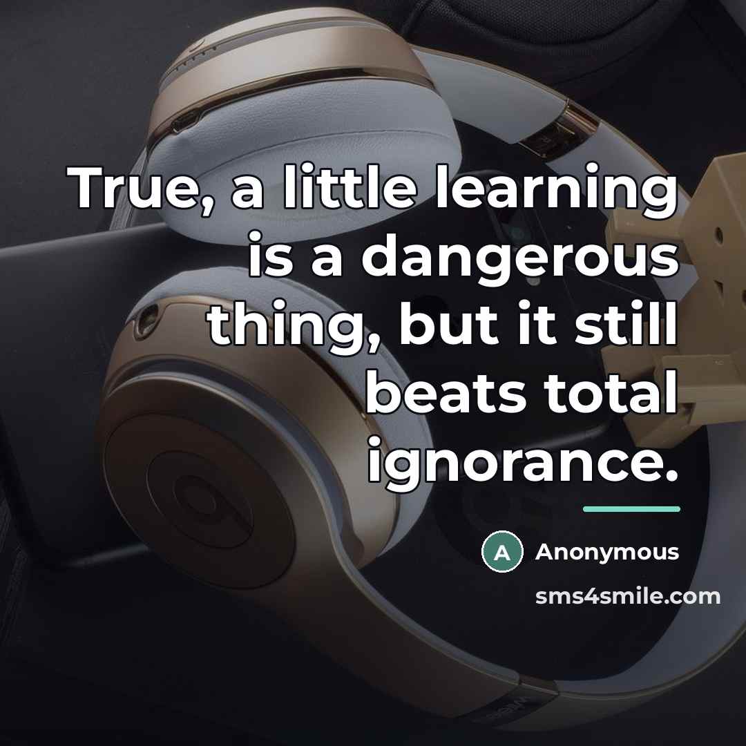 “True, a little learning is a dangerous thing, but it…” quote by Anonymous