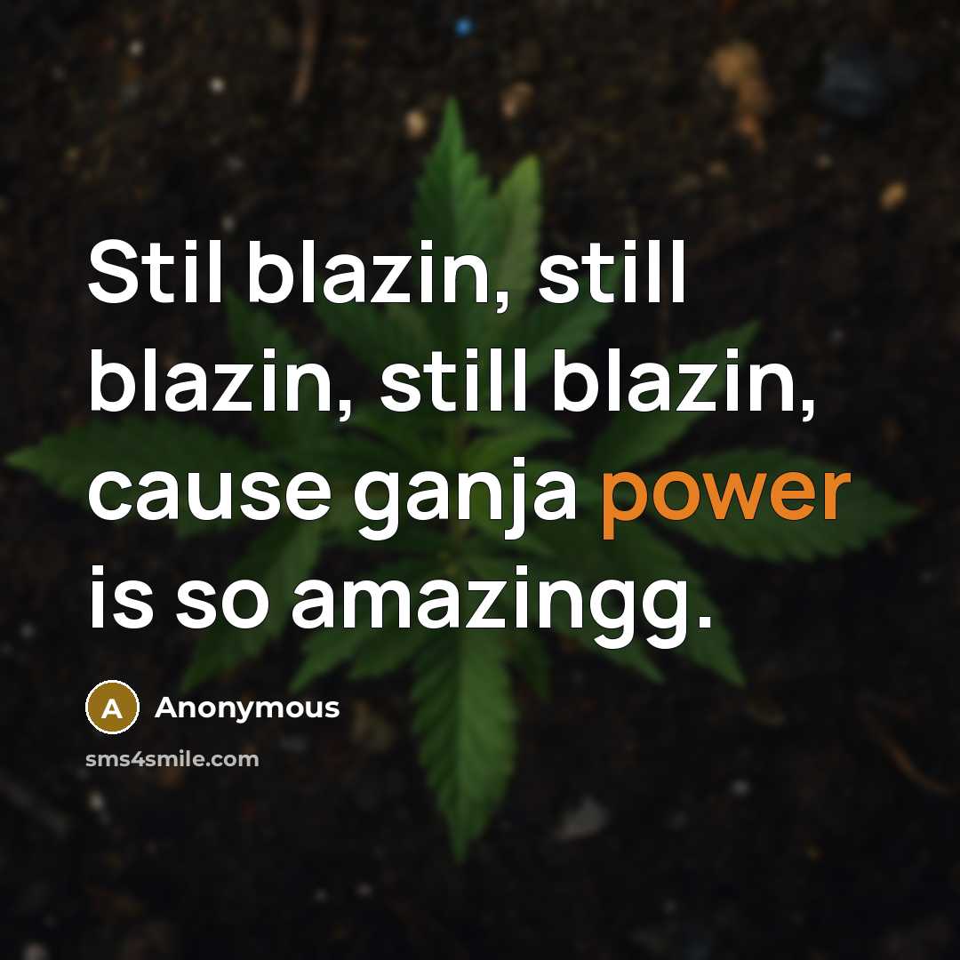 “Stil blazin, still blazin, still blazin, cause ganja power is so amazingg.” quote by Anonymous