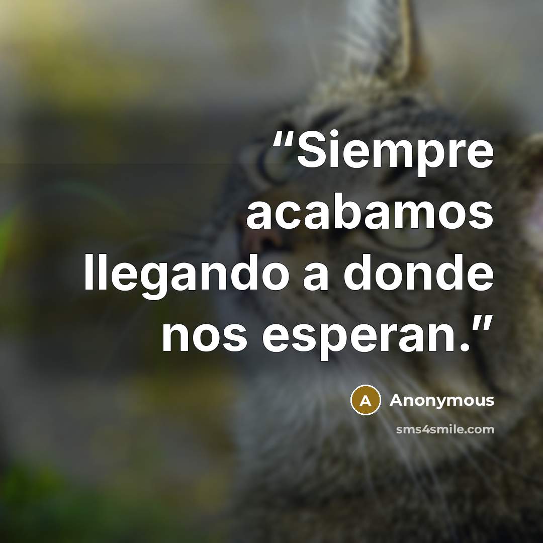 “Siempre acabamos llegando a donde nos esperan.” quote by Anonymous