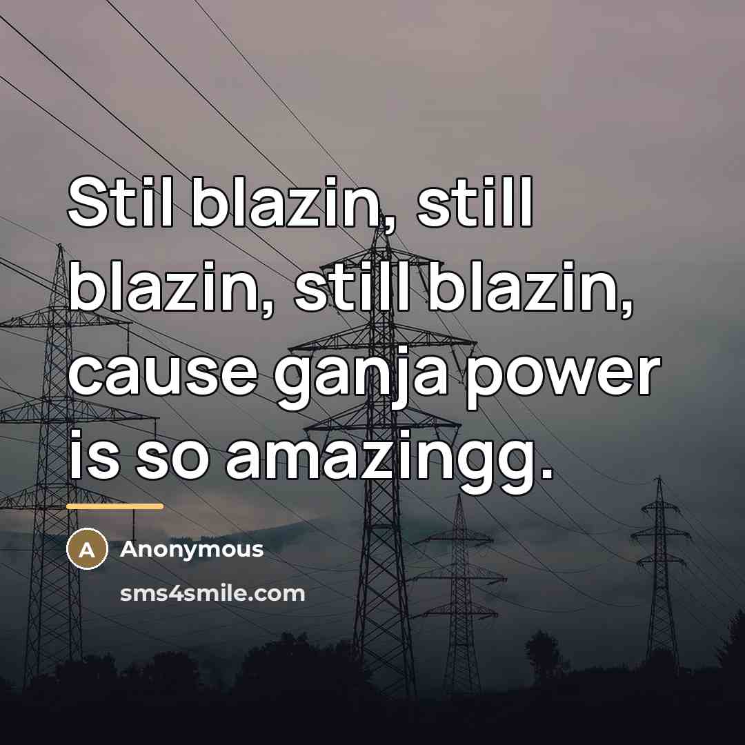 “Stil blazin, still blazin, still blazin, cause ganja power is…” quote by Anonymous