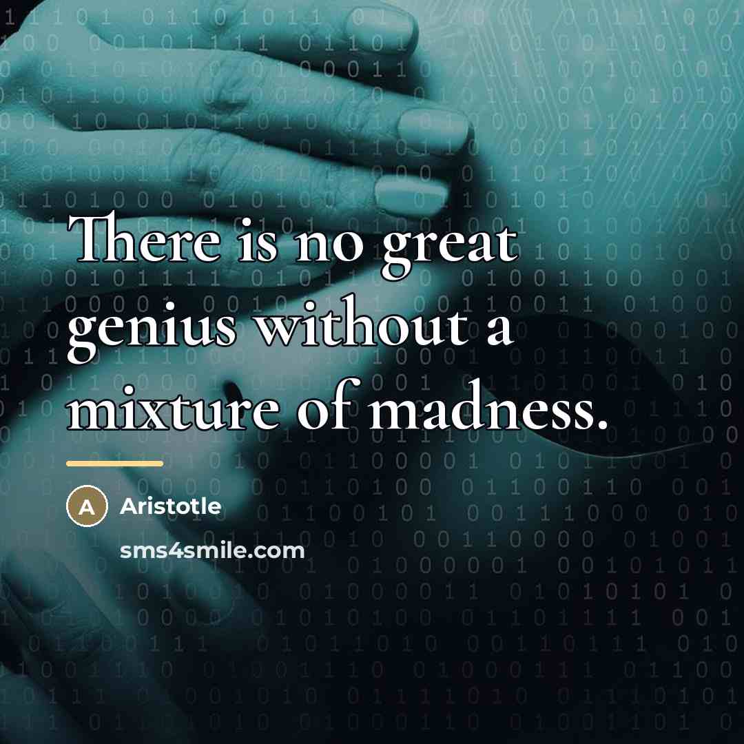 “There is no great genius without a mixture of madness.…” quote by Aristotle