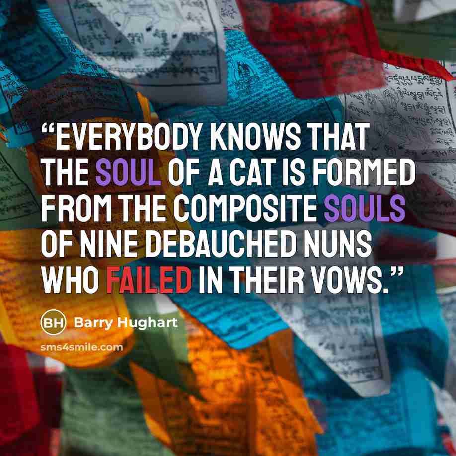 “everybody knows that the soul of a cat is formed from the composite souls of nine debauched nuns who failed in their vows.” quote by Barry Hughart