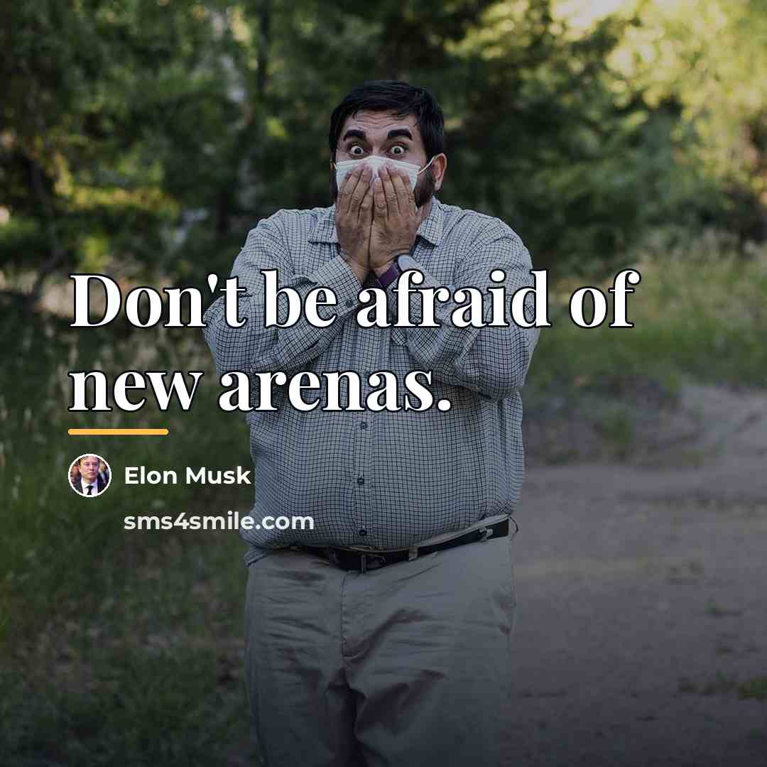 “Don't be afraid of new arenas.…” quote by Elon Musk