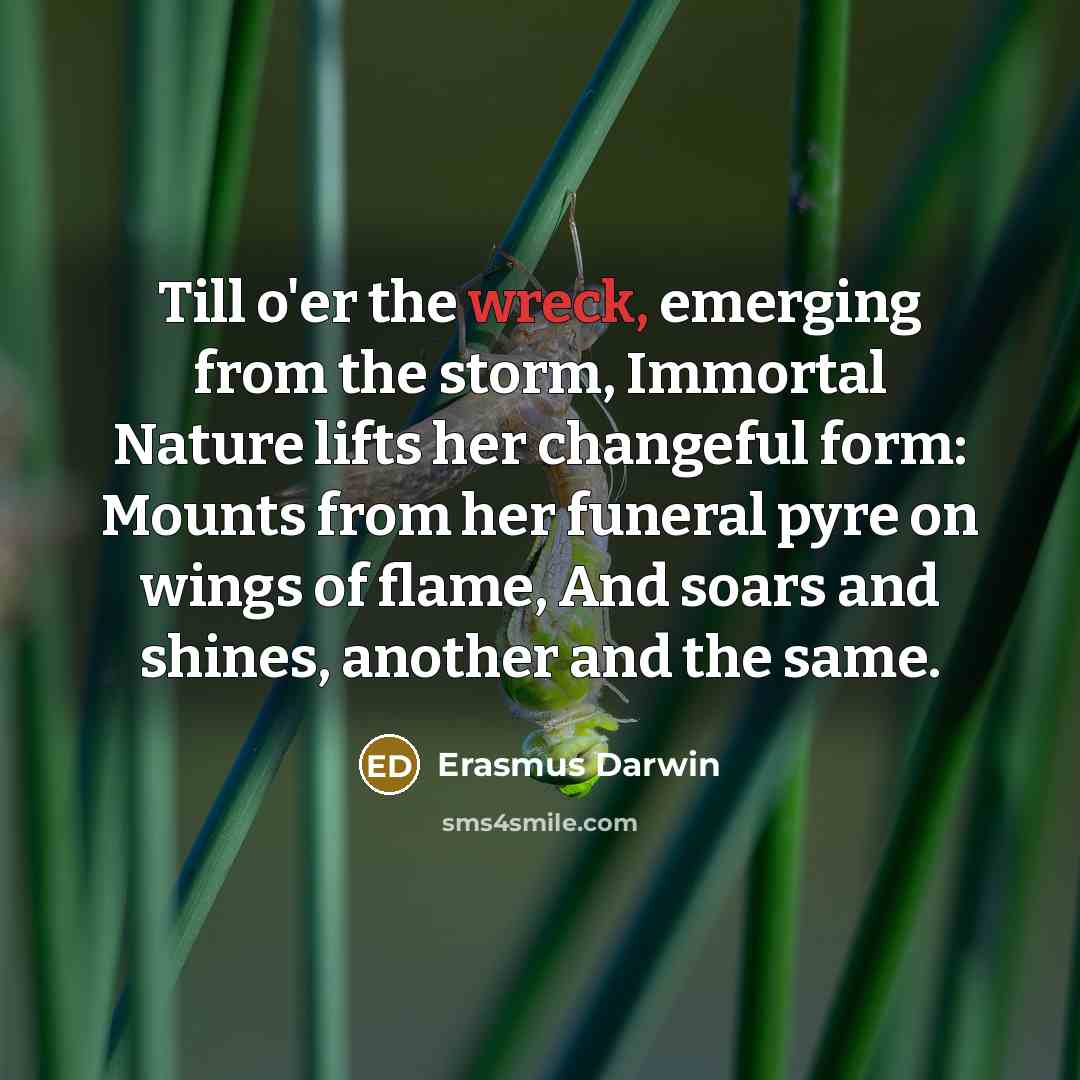 “Till o'er the wreck, emerging from the storm, Immortal Nature…” quote by Erasmus Darwin