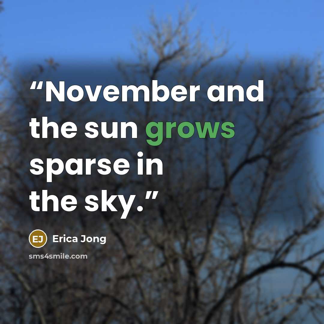“November and the sun grows sparse in the sky.” quote by Erica Jong