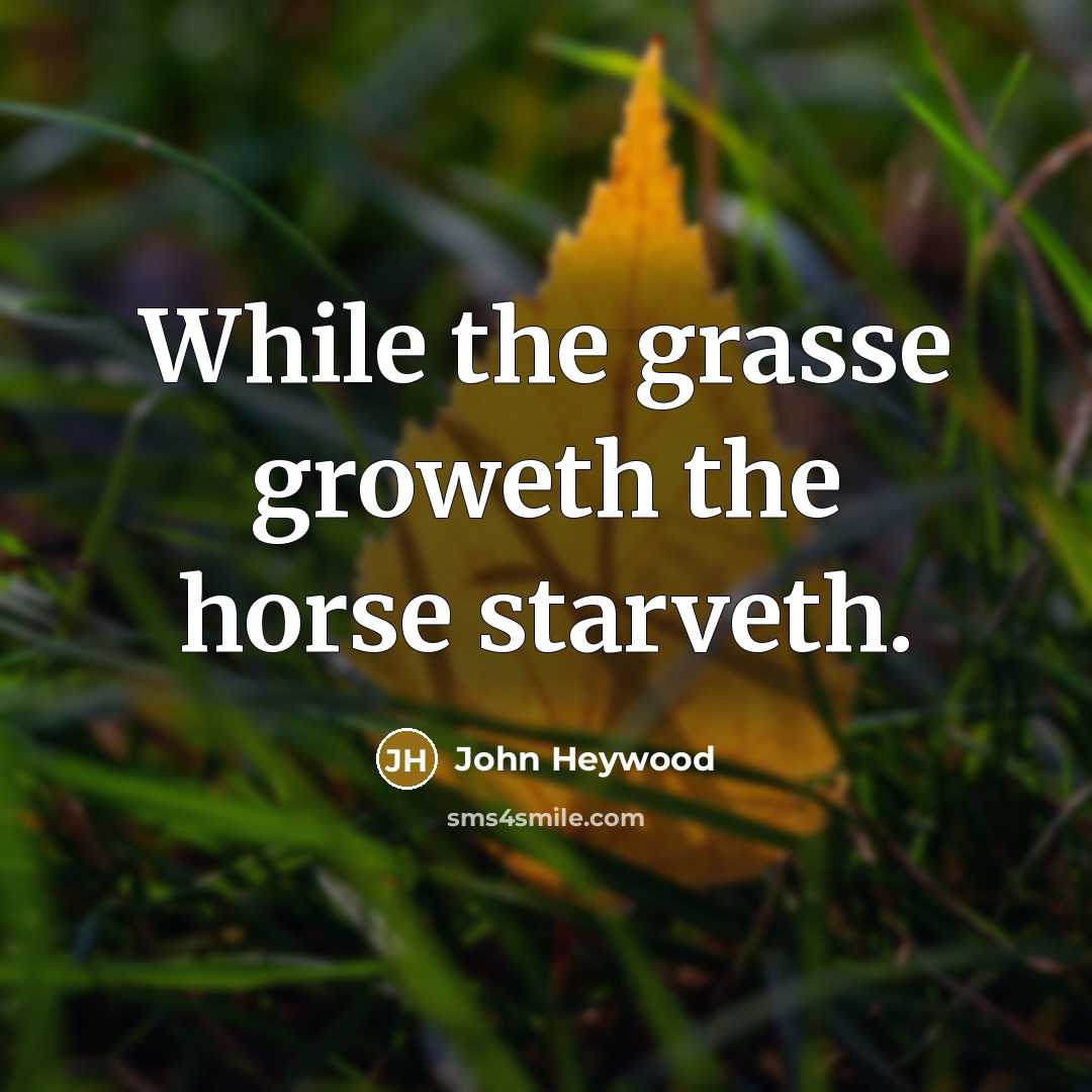 “While the grasse groweth the horse starveth.…” quote by John Heywood