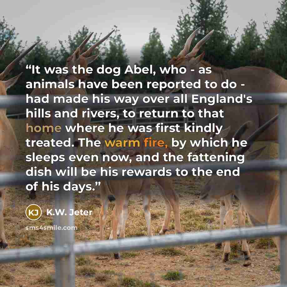 “It was the dog Abel, who - as animals have been reported to do - had made his way over all England's hills and rivers, to return to that home where he was first kindly treated. The warm fire, by which he sleeps even now, and the fattening dish will be his rewards to the end of his days.” quote by K.W. Jeter