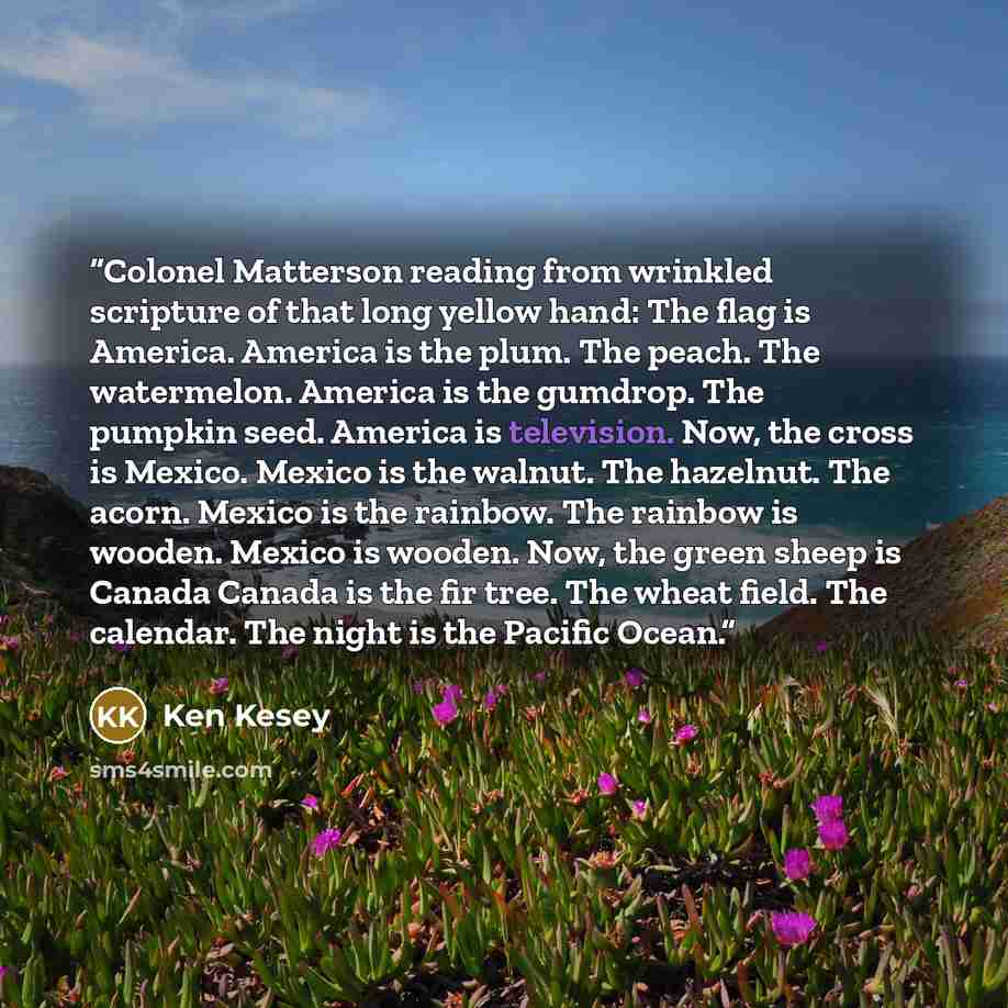 “Colonel Matterson reading from wrinkled scripture of that long yellow hand: The flag is America. America is the plum. The peach. The watermelon. America is the gumdrop. The pumpkin seed. America is television. Now, the cross is Mexico. Mexico is the walnut. The hazelnut. The acorn. Mexico is the…” quote by Ken Kesey