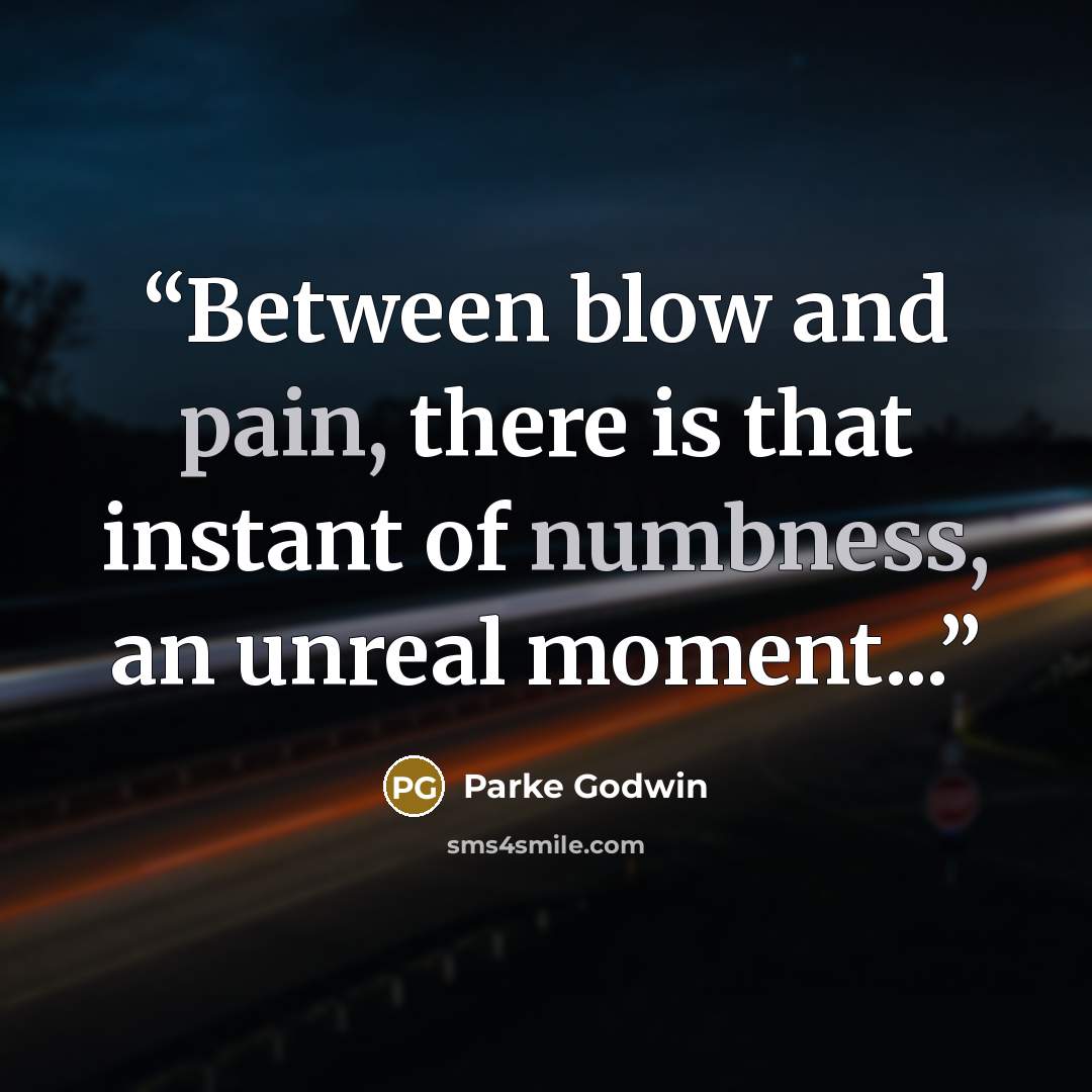“Between blow and pain, there is that instant of numbness, an unreal moment...” quote by Parke Godwin