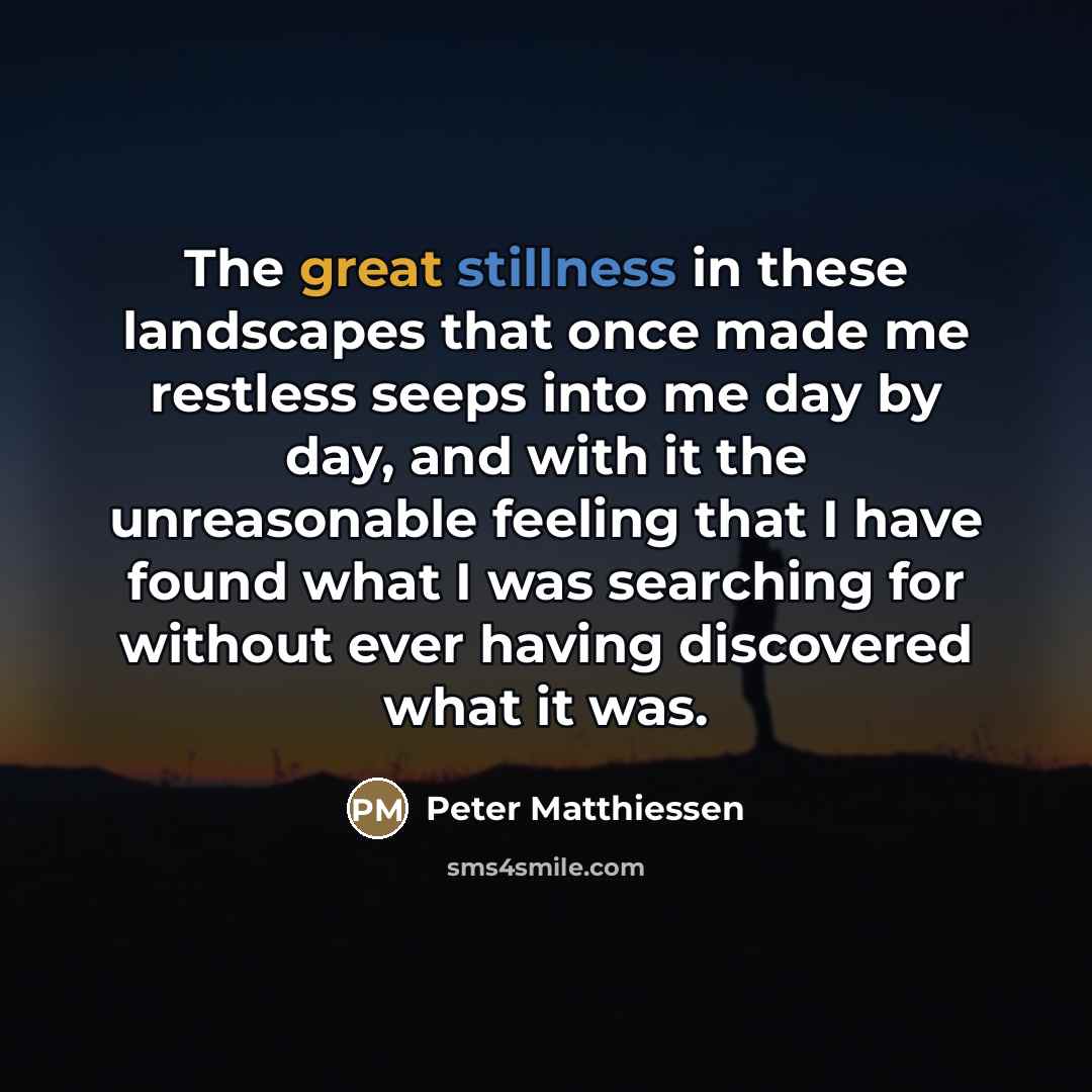 “The great stillness in these landscapes that once made me…” quote by Peter Matthiessen