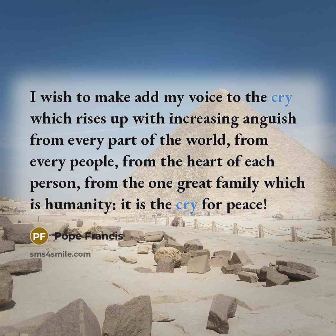 “I wish to make add my voice to the cry…” quote by Pope Francis