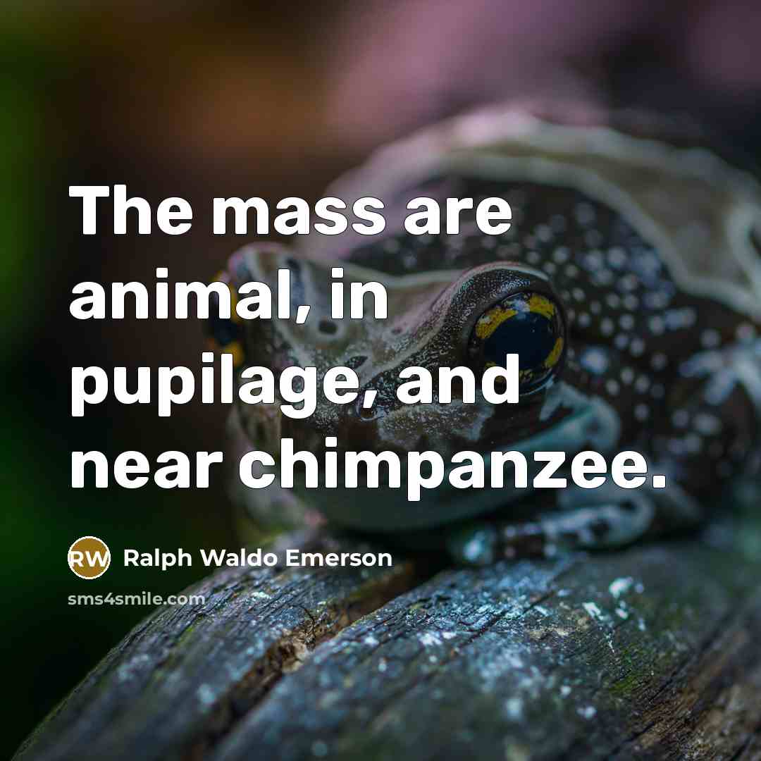“The mass are animal, in pupilage, and near chimpanzee.…” quote by Ralph Waldo Emerson